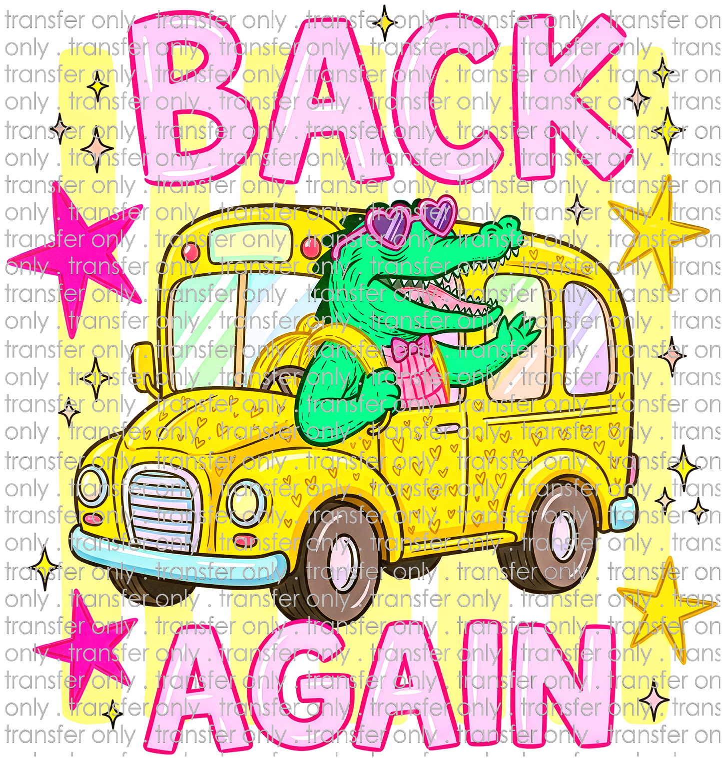 SCH 2343 Gator Back Again - Back
