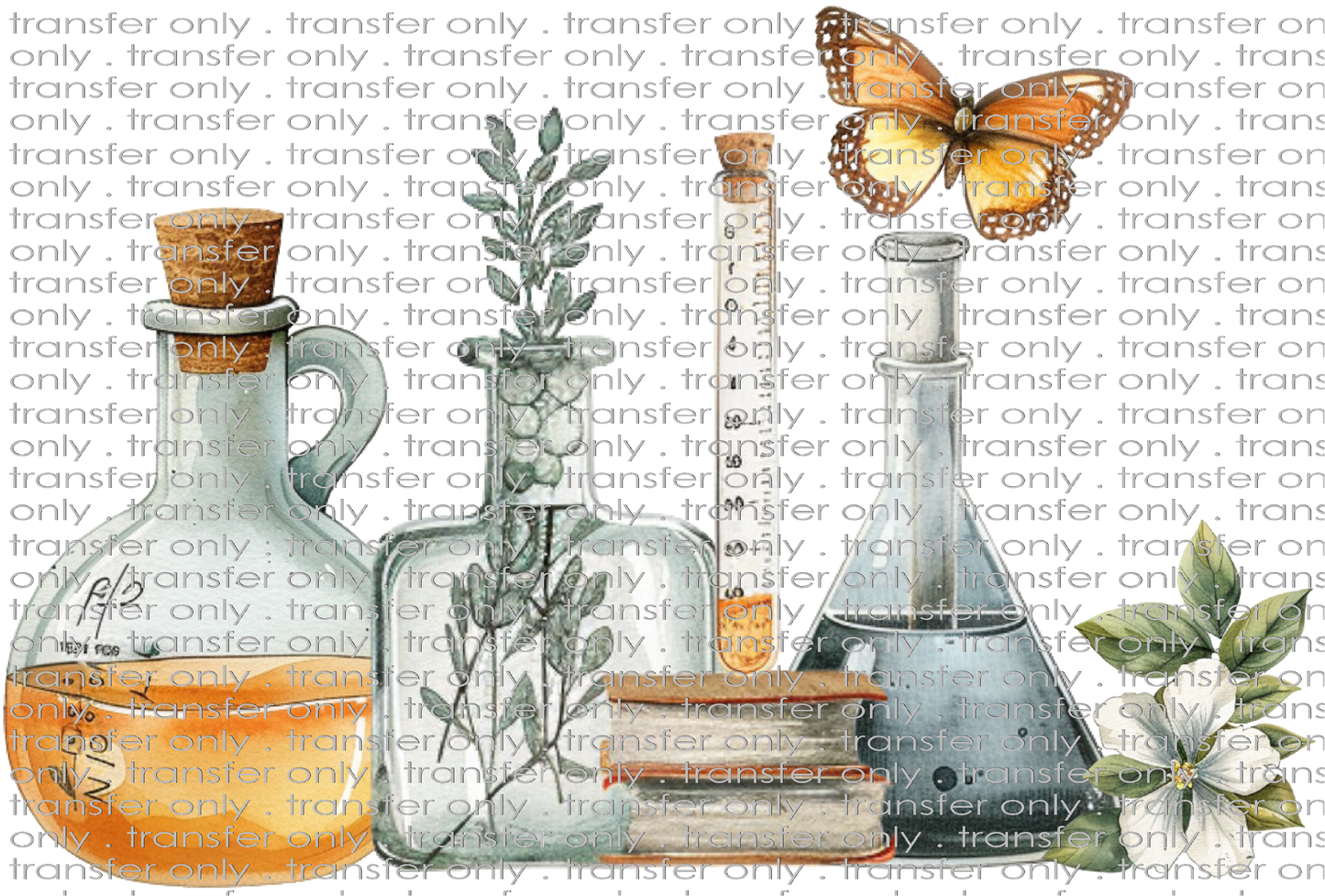 SCH 997 Beakers Books and Flowers