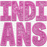 SCHMAS 294 Indians Embroidery Sequin Pink