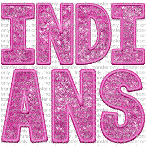 SCHMAS 294 Indians Embroidery Sequin Pink