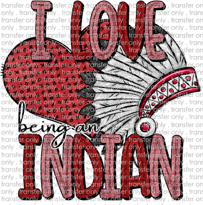 SCHMAS 308 I Love being an Indian