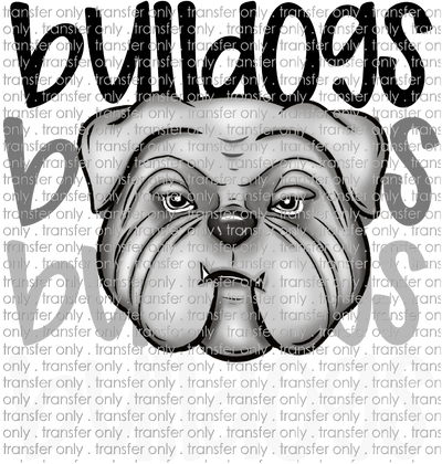 SCHMAS 541 Bulldogs Stacks