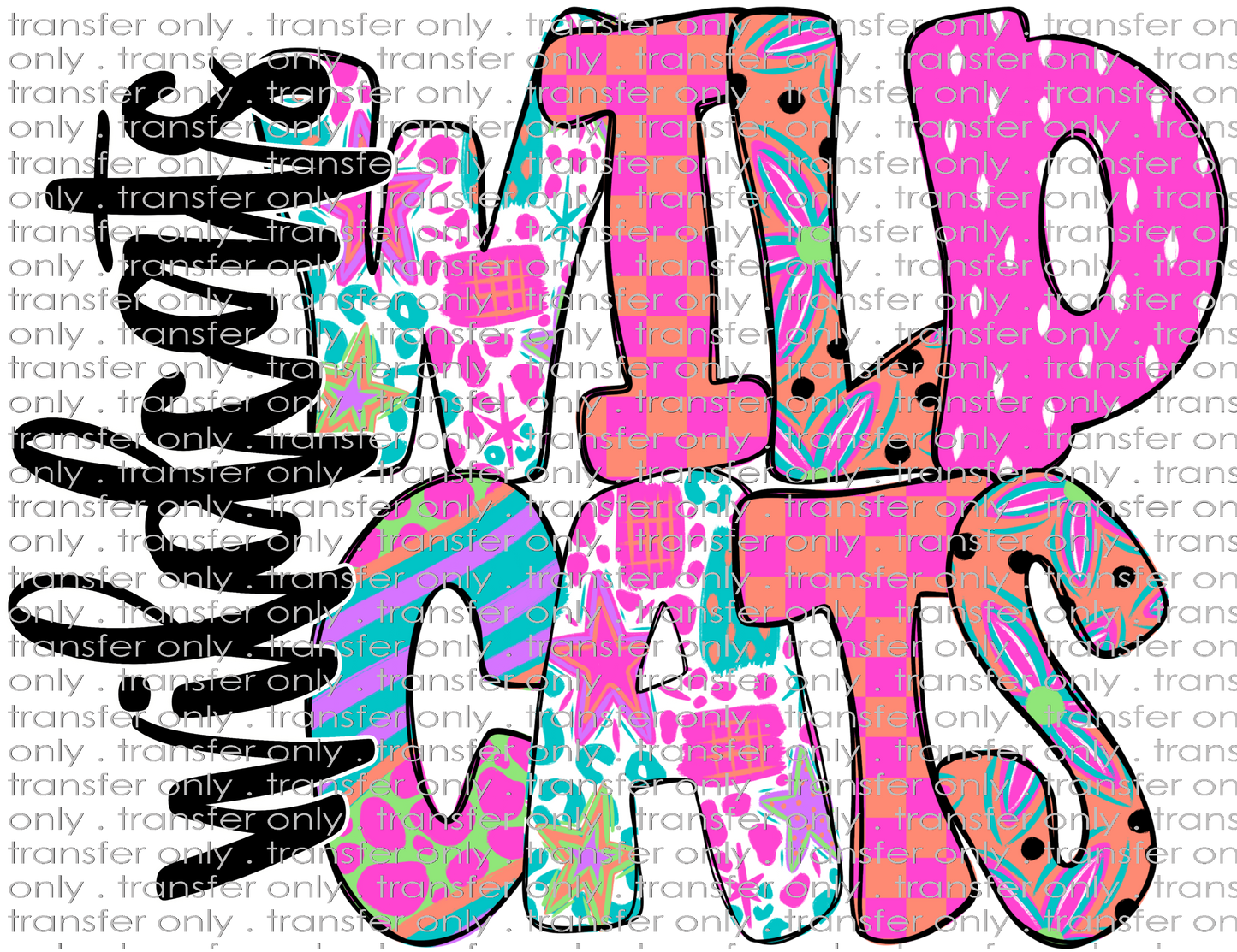 SCHMAS 571 Wildcats Funky Fun