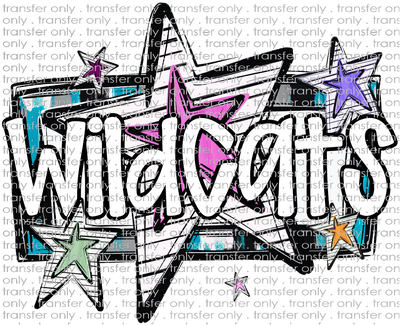 SCHMAS 579 Wildcats Stars
