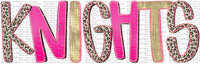 SCHMAS 582 Preppy Knights Pink Black Leopard