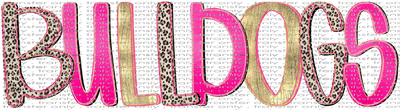 SCHMAS 584 Preppy Bulldogs Pink Black Leopard