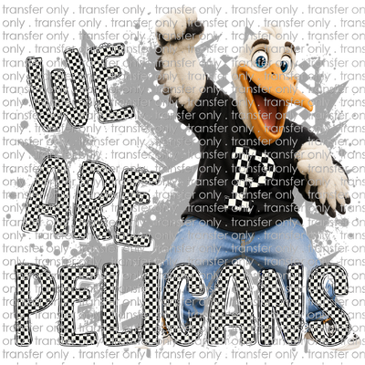 SCHMAS 699 We Are Pelicans
