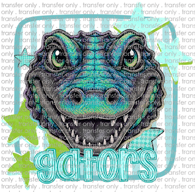 SCHMAS 741 Gators With Teal Stripes and Stars