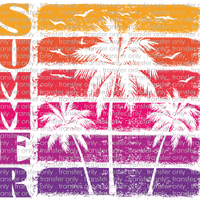 SUM 95 Summer Palm Tree