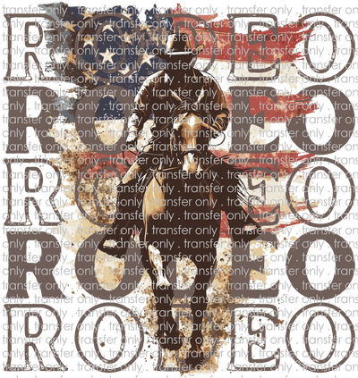 SW 177 Stacked Rodeo Cowboy on Horse