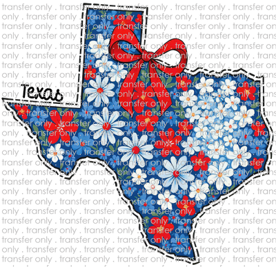 TX 170 Blue Floral Coquette Texas