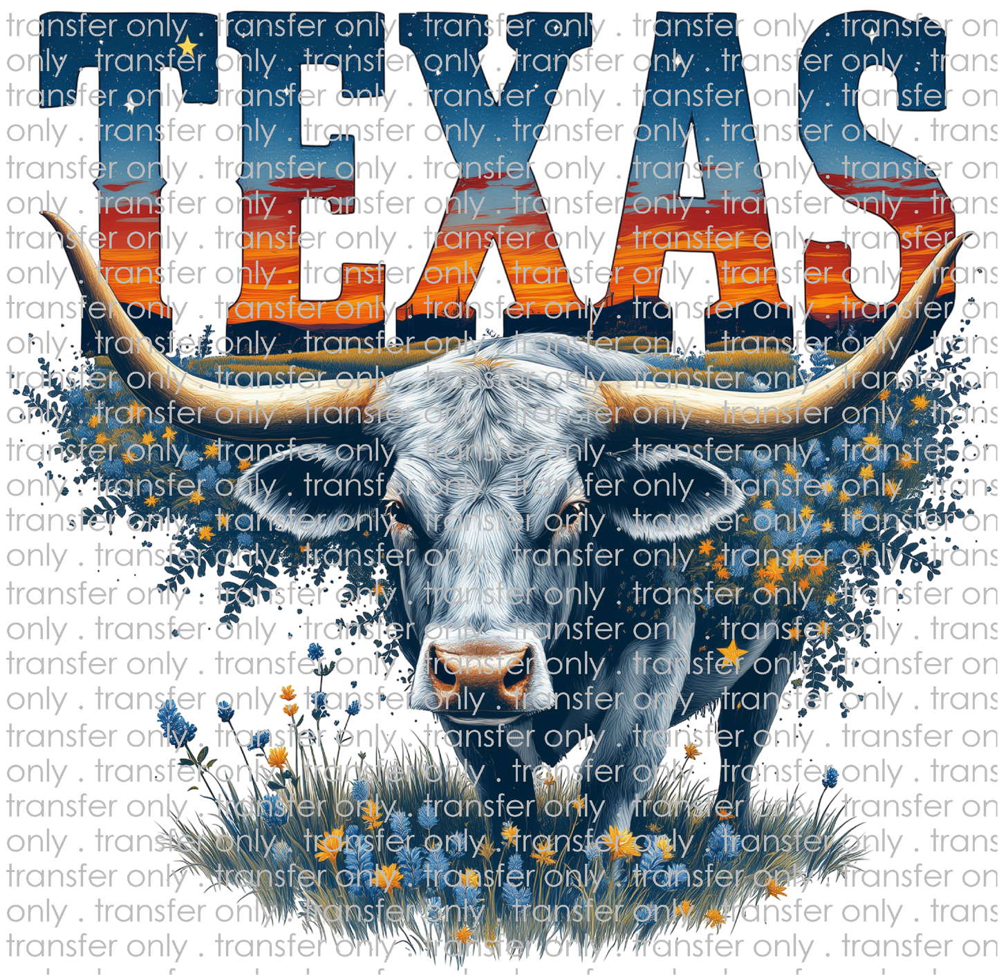 TX 171 Texas Longhorn