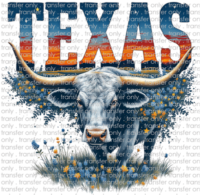 TX 171 Texas Longhorn