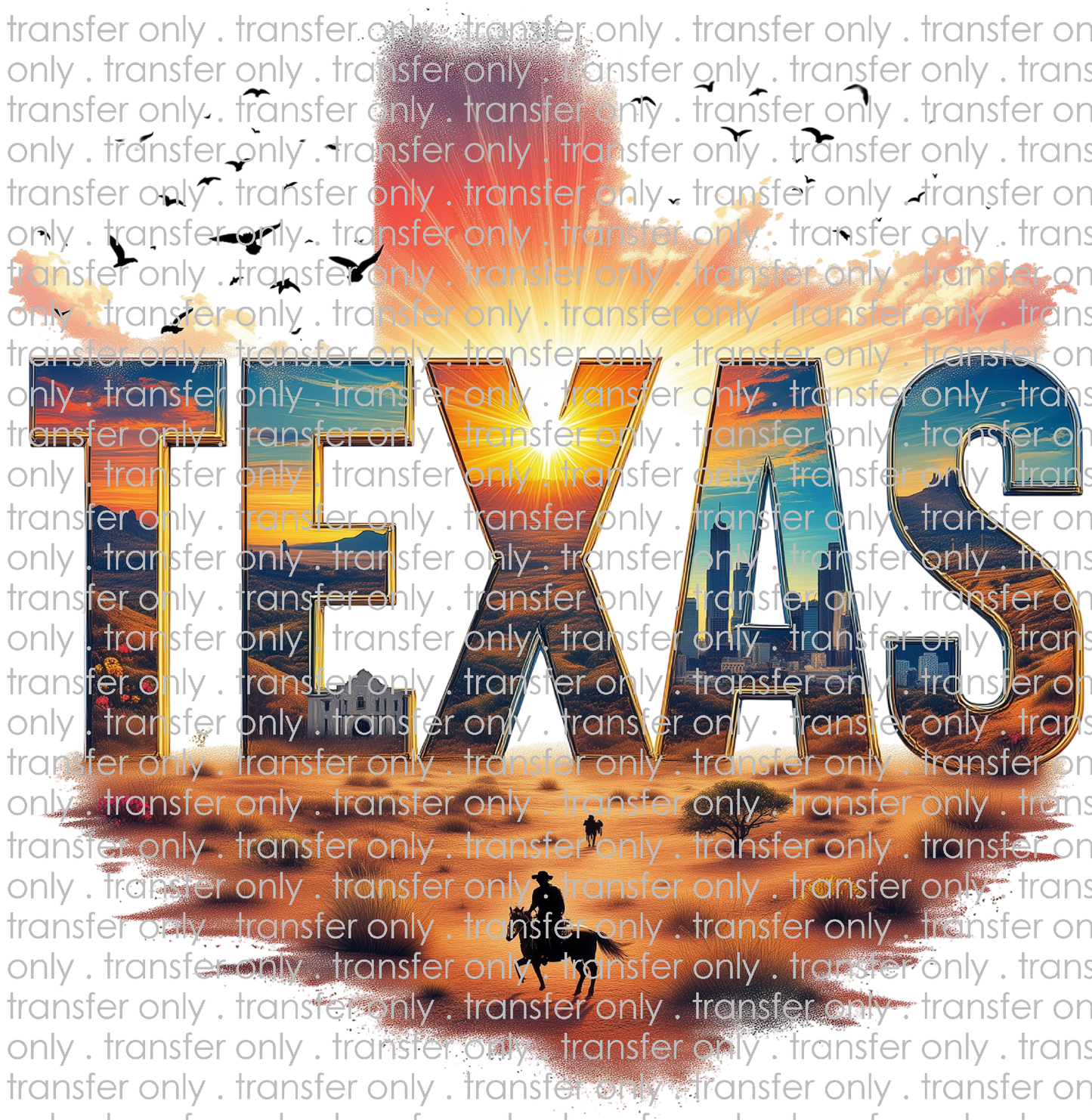 TX 172 Texas Cowboy Alamo City Scape