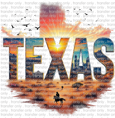 TX 172 Texas Cowboy Alamo City Scape