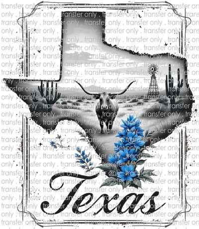 TX 173 Texas Black and White Scene with Blue Bonnets