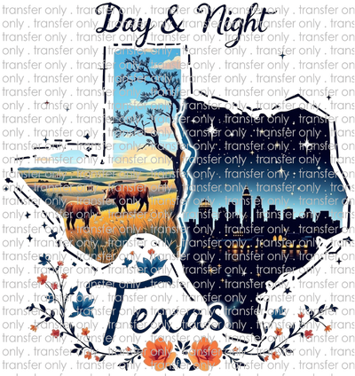 TX 174 Texas By Day and By Night