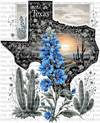 TX 175 Texas Cactus and Flowers