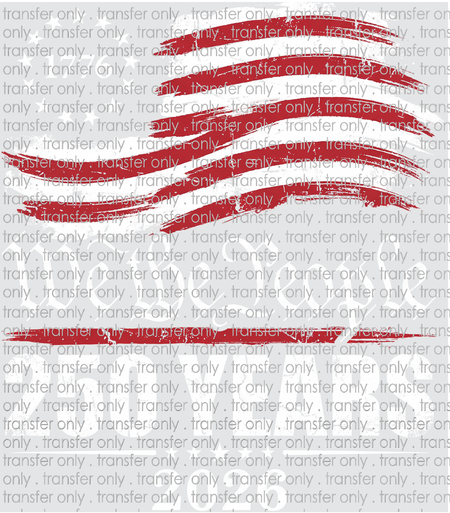 USA 309 We The People Flag