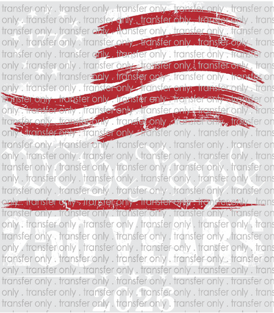 USA 309 We The People Flag