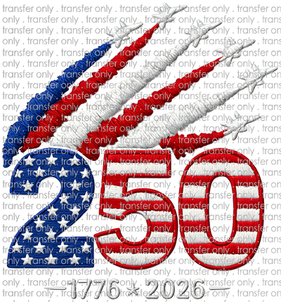 USA 316 250 with Jets