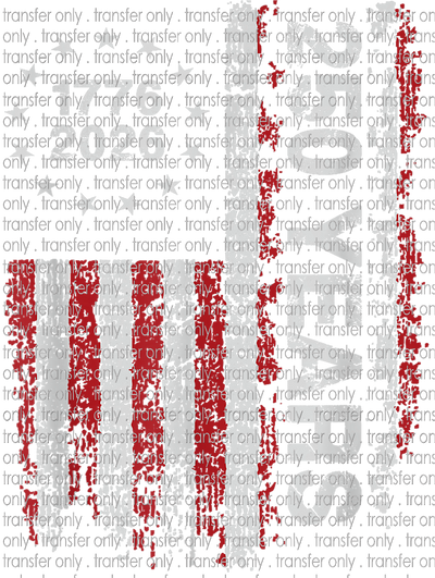 USA 318 250 Years Flag
