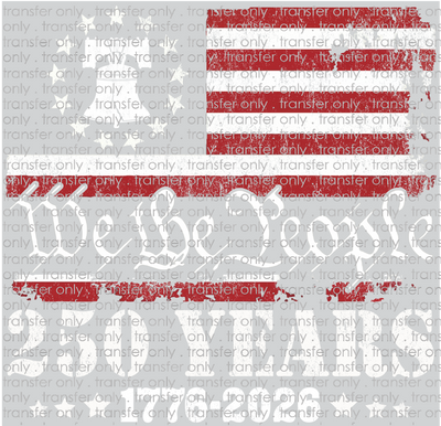 USA 319 We the People 250 Years