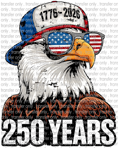 USA 321 Proud Eagle 250 Years