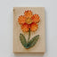 Daisy DIY String Art Kit