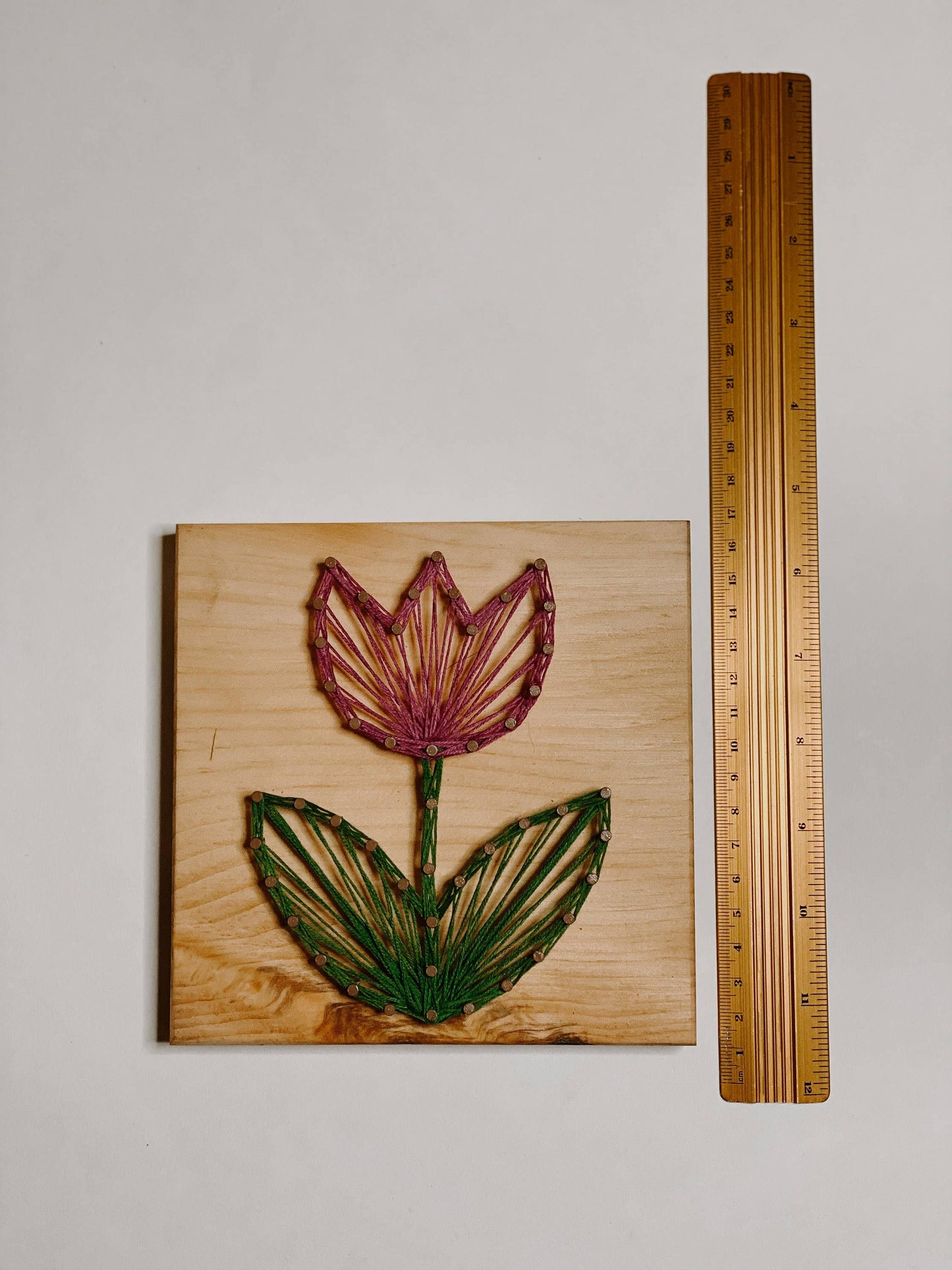 Tulip DIY String Art Kit