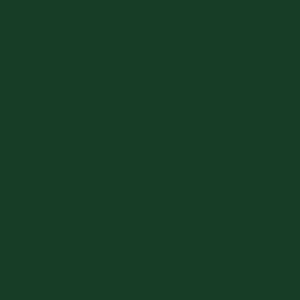 651 Glossy Decal Vinyl Dark Green