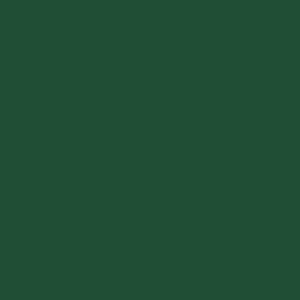 651 Glossy Decal Vinyl Forest Green