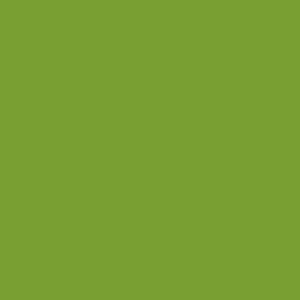 651 Glossy Decal Vinyl Lime Tree Green