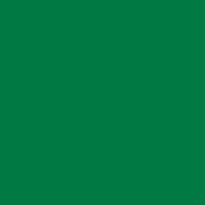 651 Glossy Decal Vinyl Grass Green