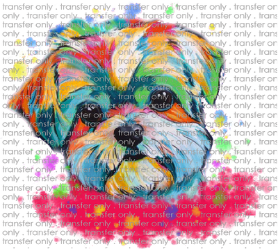 ANM 59 dog watercolor