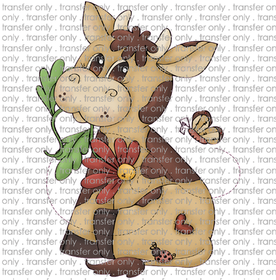 ANM 65 corky cow