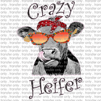 ANM 68 Crazy Heifer
