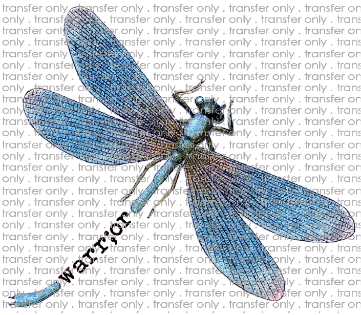 AWR 10 Warrior Dragonfly
