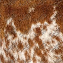 P-ANM-34 Real Cowhide 02
