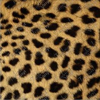P-ANM-47 Real Fur Leopard 03