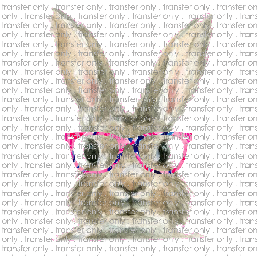 EST 86 bunny face glasses