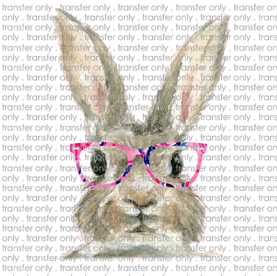 EST 86 bunny face glasses