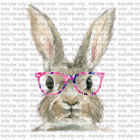 EST 86 bunny face glasses