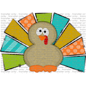 FALL 99 Boy Turkey Teal Orange and Green