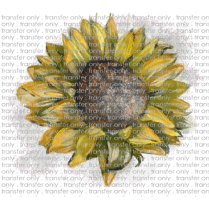 FLW 2 Watercolor Sunflower Sketch