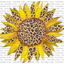 FLW 7 Leopard Sunflower