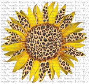 FLW 7 Leopard Sunflower