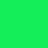 Fluorescent Green Siser EasyWeed® HTV