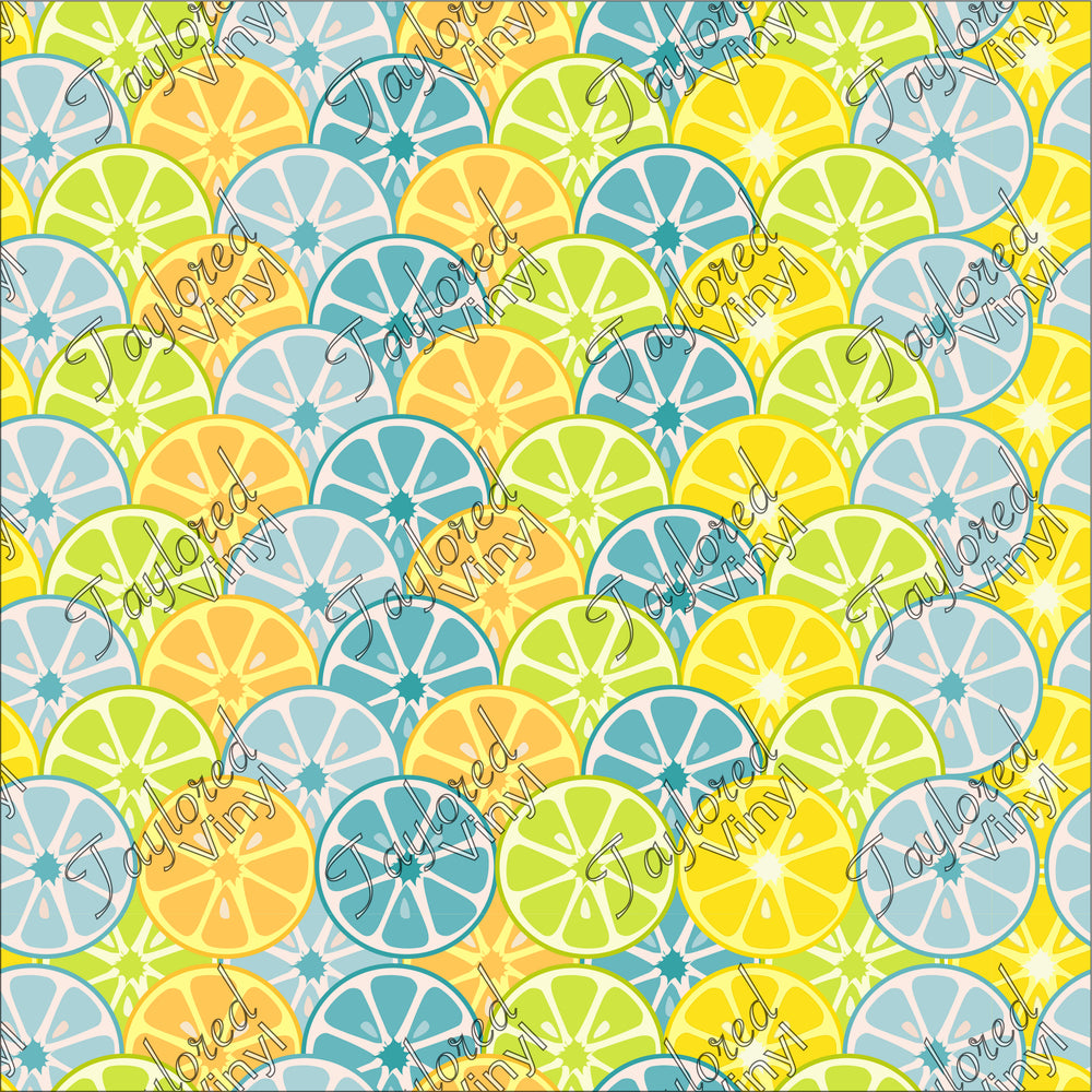 P-FOD-19 Food Lemon Slices 01
