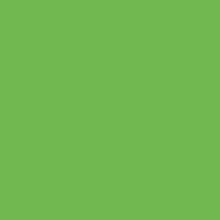 Green Apple Siser EasyWeed® HTV